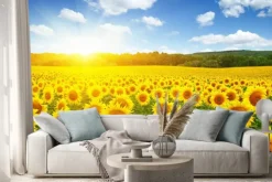 Naklejka: Pole słoneczników