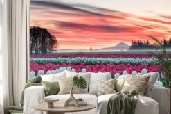 Naklejka: Pole tulipanów pod różowym wschodem słońca z górą w tle