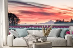 Naklejka: Pole tulipanów pod różowym wschodem słońca z górą w tle