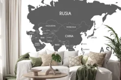 Naklejka: Polityczna azja mapa wektorowa ilustracja odizolowywająca na