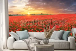 Naklejka: Poppy flowers meadow and nice sunset scene