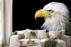 Naklejka: Portret bielik amerykański na czarnym tle z miejsca na tekst