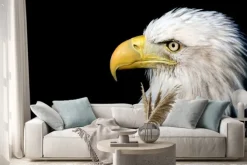 Naklejka: Portret bielik amerykański na czarnym tle z miejsca na tekst