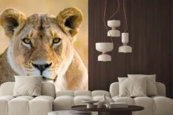 Naklejka: Portret lwica. close-up. kenia. tanzania. masajowie mara. serengeti.