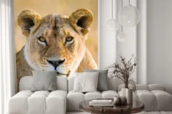 Naklejka: Portret lwica. close-up. kenia. tanzania. masajowie mara. serengeti.