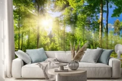 Naklejka: Promienie słońca przebijające się przez wiosenny zielony las