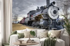 Naklejka: Przepisy prawne pociąg