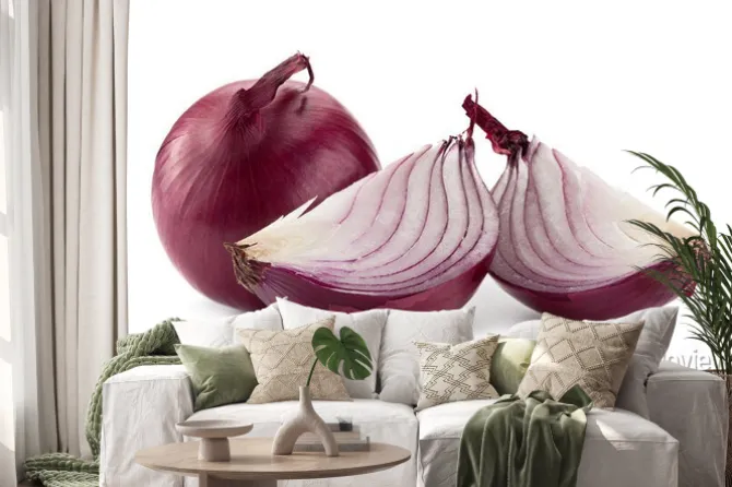 Naklejka: Purpurowy cebula na białym