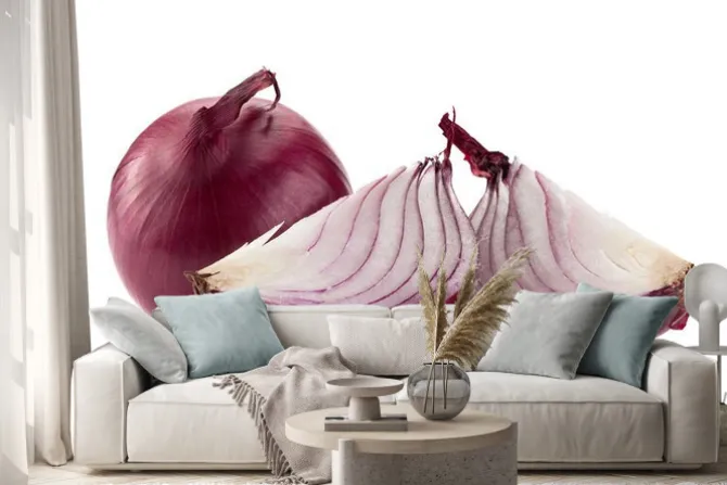 Naklejka: Purpurowy cebula na białym