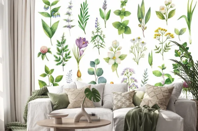 Naklejka: Ręcznie rysowane wektor zestaw akwarela ziół, kwiatów i przypraw.