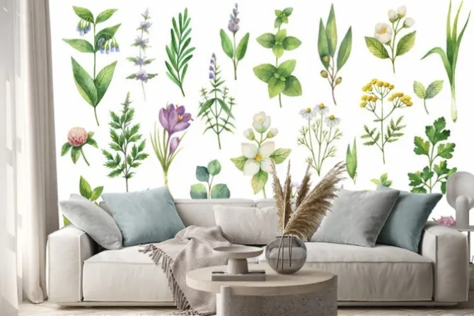 Naklejka: Ręcznie rysowane wektor zestaw akwarela ziół, kwiatów i przypraw.