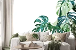 Naklejka: Różnobarwni liście monstera, rozszczepiony liść filodendron roślina