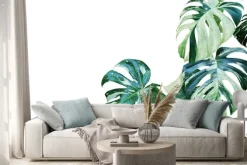 Naklejka: Różnobarwni liście monstera, rozszczepiony liść filodendron roślina