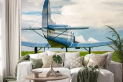 Naklejka: Rocznik światła samolotów sportowych w świetle wieczorem