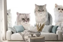 Naklejka: Rodziny koty perskie
