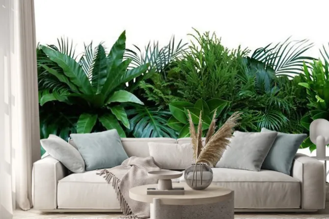 Naklejka: Rośliny tropikalne w kompozycji