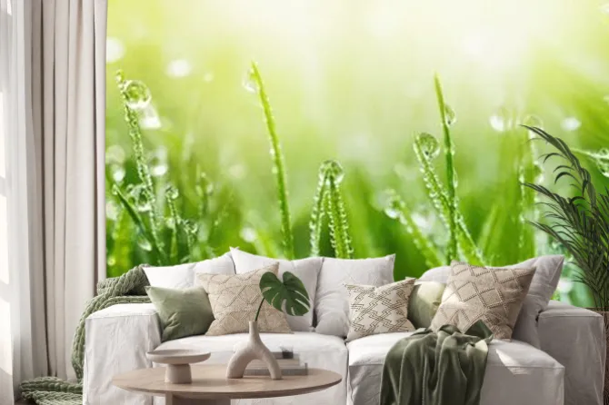 Naklejka: Rosa o poranku na zielonej trawie