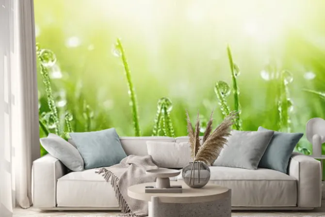 Naklejka: Rosa o poranku na zielonej trawie