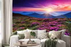 Naklejka: Różowe kwiaty na górskim wzgórzu o zachodzie słońca