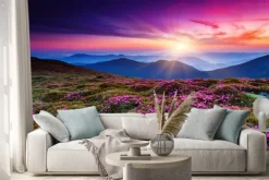 Naklejka: Różowe kwiaty na górskim wzgórzu o zachodzie słońca