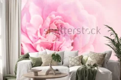 Naklejka: Różowy kwiat róży na różowym tle z płytkiej głębi ostrości i