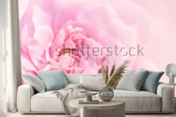 Naklejka: Różowy kwiat róży na różowym tle z płytkiej głębi ostrości i