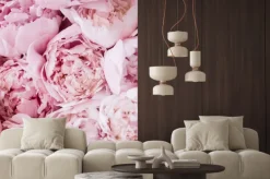 Naklejka: Rozłożyste piwonie z bliska