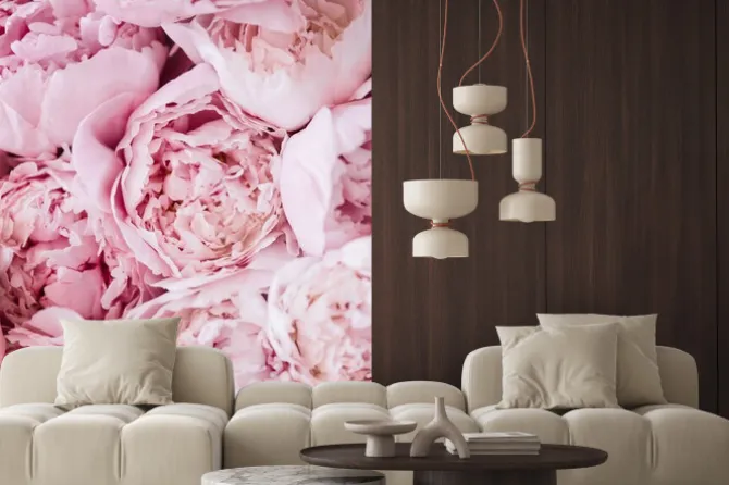 Naklejka: Rozłożyste piwonie z bliska