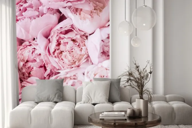 Naklejka: Rozłożyste piwonie z bliska