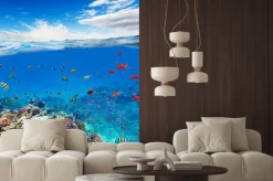 Naklejka: Ryby nad rafą koralową