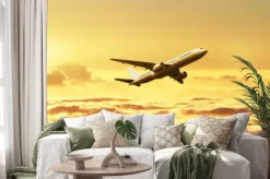 Naklejka: Samolot na niebie o zachodzie słońca