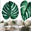 Naklejka: Set of tropical monstera leaves isolated on white. watercolor