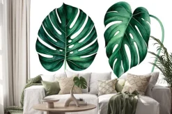 Naklejka: Set of tropical monstera leaves isolated on white. watercolor