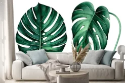 Naklejka: Set of tropical monstera leaves isolated on white. watercolor
