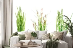 Naklejka: Set of wild green grass on white background.