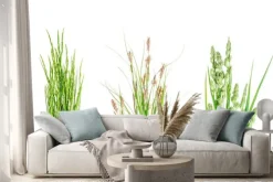 Naklejka: Set of wild green grass on white background.