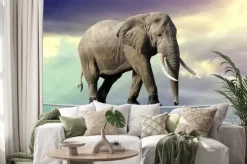 Naklejka: Słoń chodzenie na linie