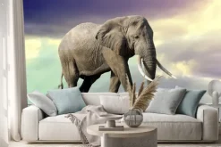 Naklejka: Słoń chodzenie na linie