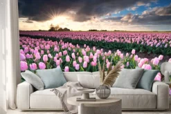 Naklejka: Słońce nad różowym polu tulipanów