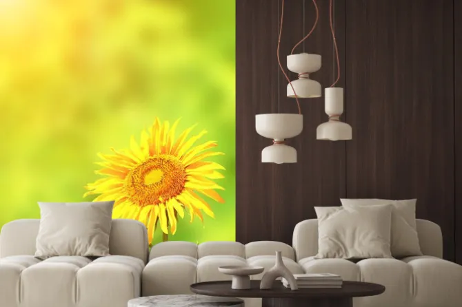 Naklejka: Słonecznik na zielonym tle