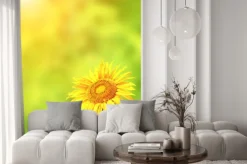 Naklejka: Słonecznik na zielonym tle