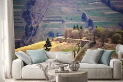 Naklejka: Słoneczny wiosna w górskiej miejscowości. pól i wzgórz