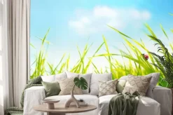 Naklejka: Spring summer background with fresh green tall grass in wind