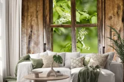 Naklejka: Stare drewniane ramy okienne, wiosna, kwitnące drzewa.