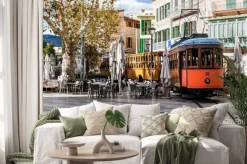 Naklejka: Strassenbahn fährt durch die fußgängerzone w soller