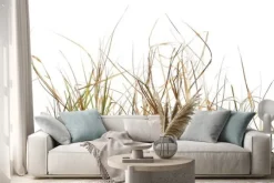 Naklejka: Sucha trawa