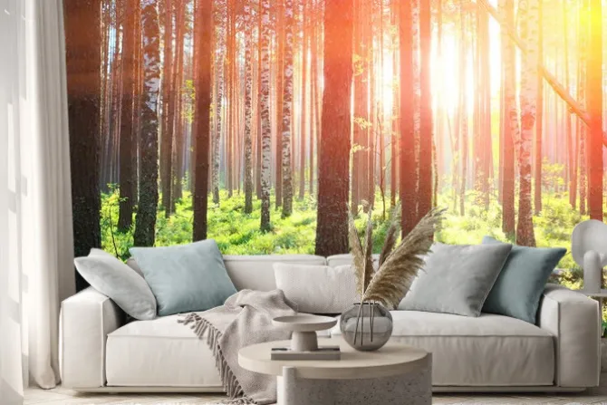 Naklejka: Sunrise w lesie sosnowym