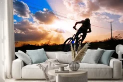 Naklejka: Sunset at bootleg canyon