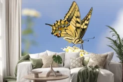 Naklejka: Swallowtail żywienia na lantana kwiatów. długi czas otwarcia