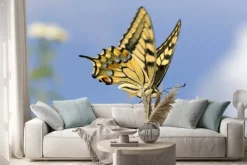 Naklejka: Swallowtail żywienia na lantana kwiatów. długi czas otwarcia